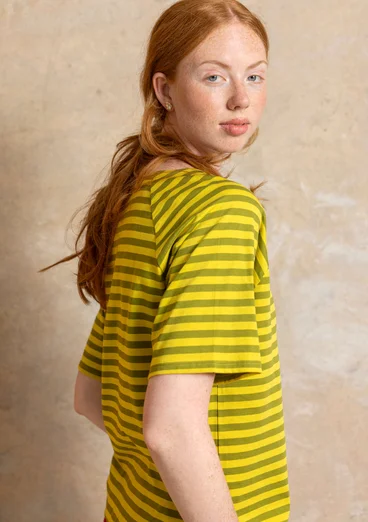 Basrands T-shirt i ekologisk bomull - grönpeppar/dijon