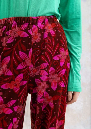 Velourbyxa "Cornus" i ekologisk bomull/återvunnen polyester - rödbeta