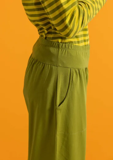 Trikåbyxa i ekologisk bomull/elastan - grönpeppar