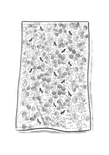 Gardin "Galapagos" i ekologisk bomull - vit