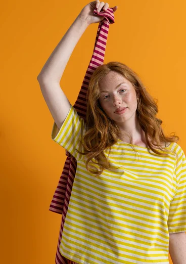 Basrands T-shirt i ekologisk bomull - dijon/fjäder