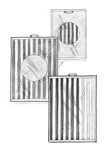 Gästhandduk "Sunset" i ekologisk bomull 2-pack - grönt havsglas